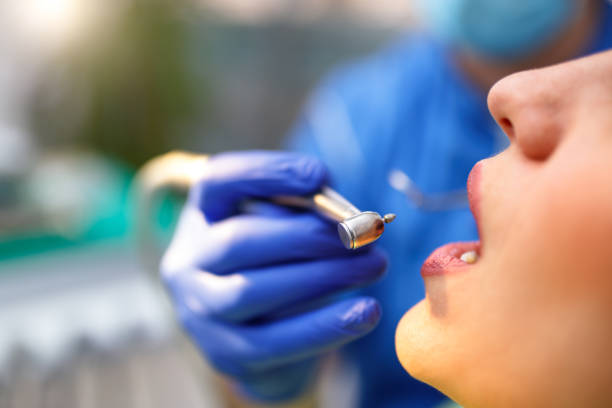 Trusted Norridge, IL Holistic Dental Care Services Experts